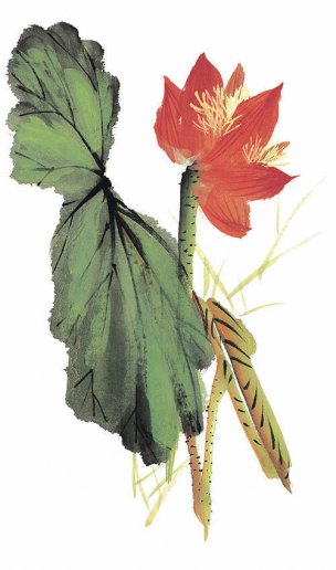 近现代 佚名 花卉图册J173-69-国画百花争艳136[花鸟