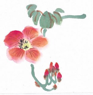 近现代 佚名 花卉图册J173-69-国画百花争艳132[花鸟