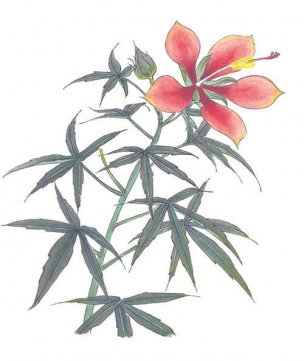 近现代 佚名 花卉图册J173-69-国画百花争艳154[花鸟