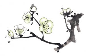 近现代 佚名 花卉图册J173-69-国画百花争艳15[花鸟