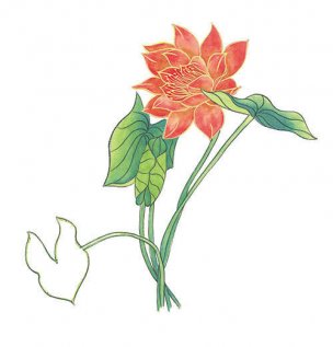 近现代 佚名 花卉图册J173-69-国画百花争艳155[花鸟
