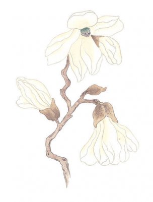 近现代 佚名 花卉图册J173-69-国画百花争艳164[花鸟