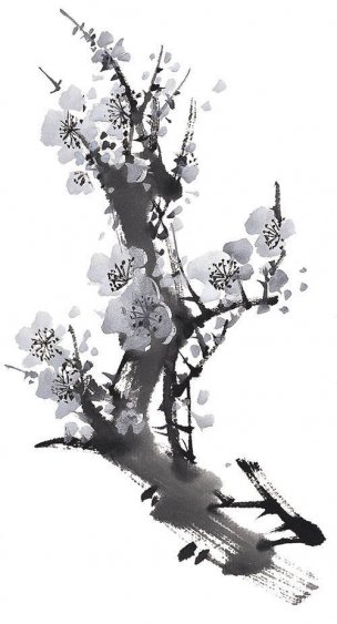 近现代 佚名 花卉图册J173-69-国画百花争艳165[花鸟