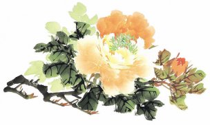 近现代 佚名 花卉图册J173-69-国画百花争艳140[花鸟