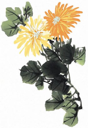 近现代 佚名 花卉图册J173-69-国画百花争艳151[花鸟