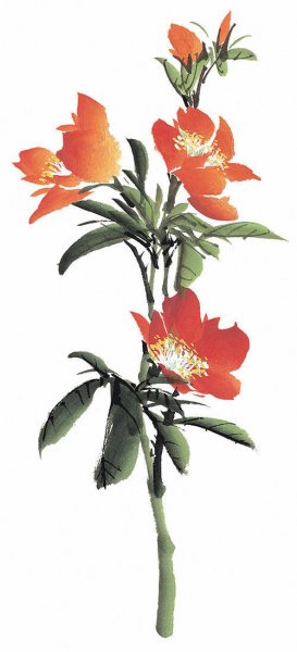 近现代 佚名 花卉图册J173-69-国画百花争艳142[花鸟
