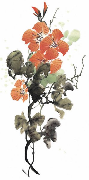 近现代 佚名 花卉图册J173-69-国画百花争艳149[花鸟