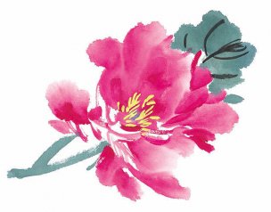 近现代 佚名 花卉图册J173-69-国画百花争艳133[花鸟