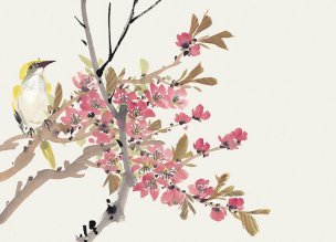 近现代 佚名 花卉图册J173-69-国画百花争艳111[花鸟