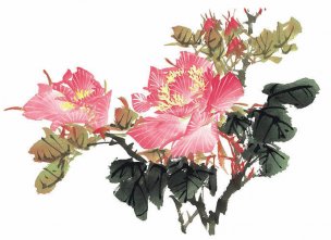 近现代 佚名 花卉图册J173-69-国画百花争艳144[花鸟