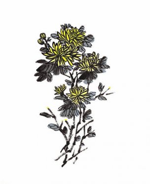 近现代 佚名 花卉图册J173-69-国画百花争艳123[花鸟