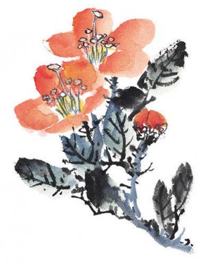 近现代 佚名 花卉图册J173-69-国画百花争艳13[花鸟