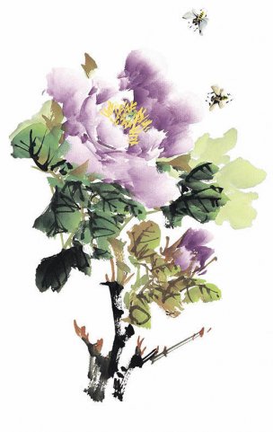 近现代 佚名 花卉图册J173-69-国画百花争艳146[花鸟