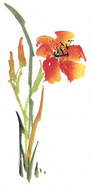 近现代 佚名 花卉图册J173-69-国画百花争艳150[花鸟