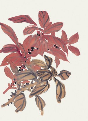 近现代 佚名 花卉图册J173-69-国画百花争艳119[花鸟