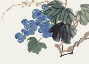 近现代 佚名 花卉图册J173-69-国画百花争艳113[花鸟