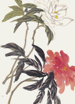 近现代 佚名 花卉图册J173-69-国画百花争艳102[花鸟