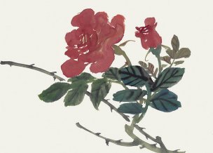 近现代 佚名 花卉图册J173-69-国画百花争艳107[花鸟