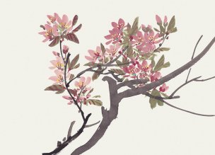 近现代 佚名 花卉图册J173-69-国画百花争艳10[花鸟