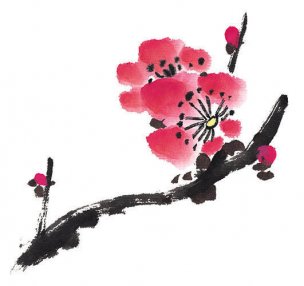 近现代 佚名 花卉图册J173-69-国画百花争艳12[花鸟