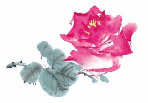 近现代 佚名 花卉图册J173-69-国画百花争艳129[花鸟