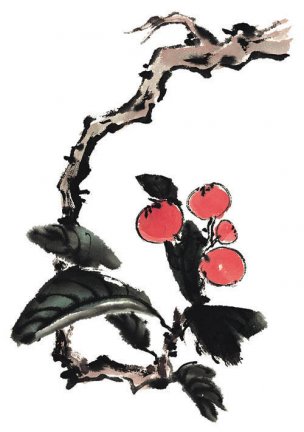 近现代 佚名 花卉图册J173-69-国画百花争艳11[花鸟