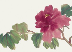 近现代 佚名 花卉图册J173-69-国画百花争艳104[花鸟