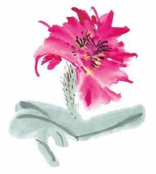 近现代 佚名 花卉图册J173-69-国画百花争艳131[花鸟