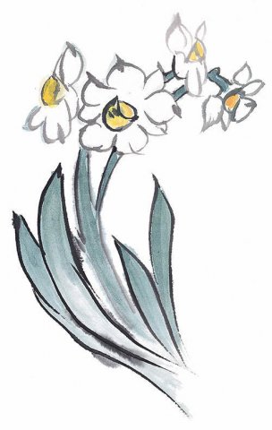 近现代 佚名 花卉图册J173-69-国画百花争艳126[花鸟