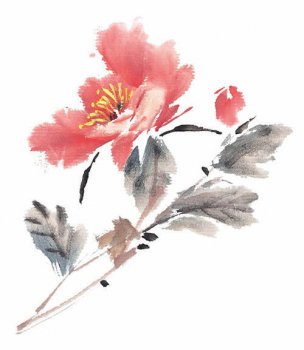 近现代 佚名 花卉图册J173-69-国画百花争艳124[花鸟