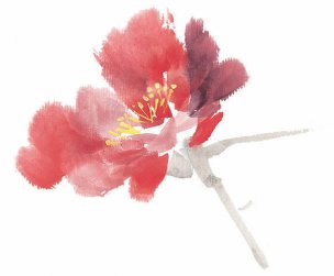 近现代 佚名 花卉图册J173-69-国画百花争艳128[花鸟
