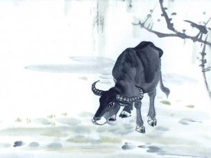 近现代 佚名 生肖动物集J173-77-国画生肖动物9[走