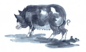 近现代 佚名 生肖动物集J173-77-国画生肖动物74[走
