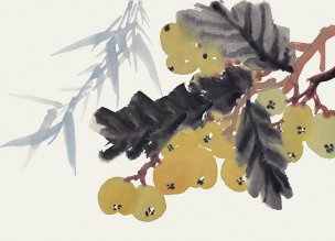 近现代 佚名 花卉图册J173-69-国画百花争艳112[花鸟