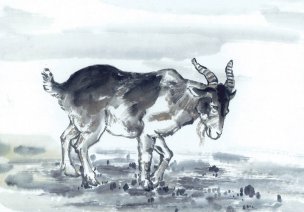 近现代 佚名 生肖动物集J173-77-国画生肖动物48[走