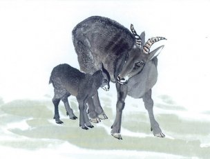 近现代 佚名 生肖动物集J173-77-国画生肖动物47[走
