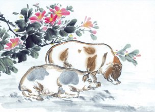近现代 佚名 生肖动物集J173-77-国画生肖动物72[走