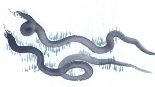 近现代 佚名 生肖动物集J173-77-国画生肖动物36[走