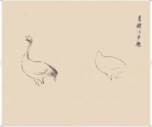 近现代 徐悲鸿 册页之二-ca0709041-27-28 28.7x24[花鸟
