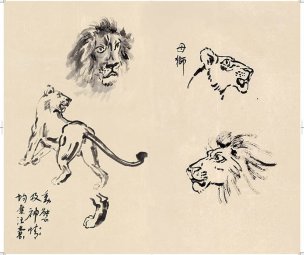 近现代 徐悲鸿 册页之一-ca0709041-55-56 28.7x24[走兽