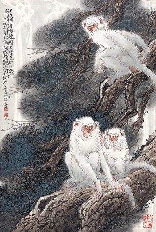 近现代 徐培晨 白猴图轴t 75×112[走兽]