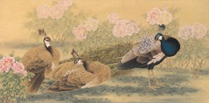 近现代 张建军 金丝孔雀 100X200 JF BH [花鸟]