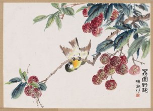 近现代 张渊 荔枝小鸟 48X35[花鸟]