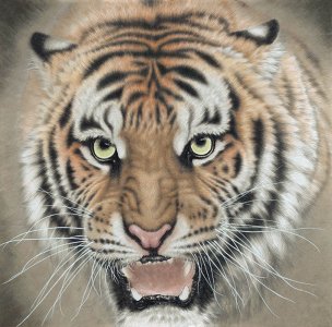 近现代 孟祥顺 虎头 69X69[走兽]