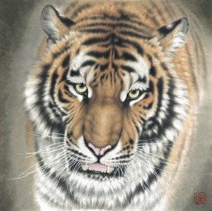 近现代 孟祥顺 虎头3 69X69[走兽]