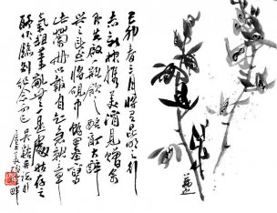 近现代 吴茀之 小品3[花鸟]