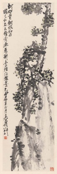 近现代 吴昌硕 柏树图轴35x111[花鸟]