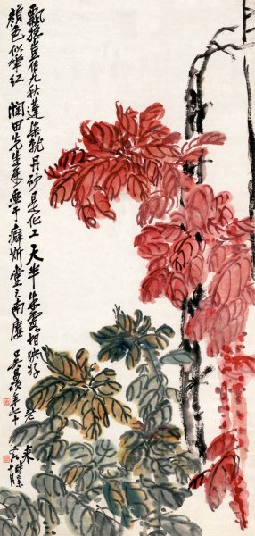 近现代 吴昌硕 tiao2 50x105[花鸟]