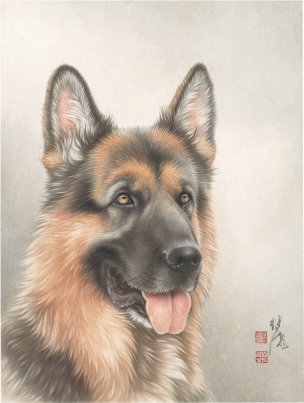 近现代 刘继彪 013狼狗 23X30[走兽]