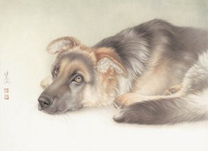 近现代 刘继彪 001趴狗 31X22[走兽]